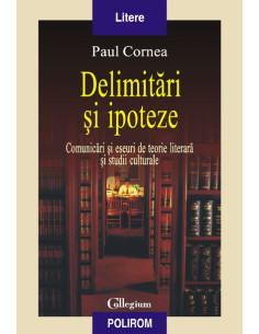 Delimitări și ipoteze....