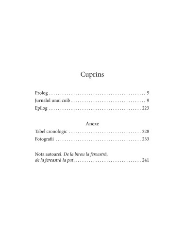 Pescăruşul de la geam