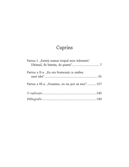 Nichita. Poetul ca şi soldatul