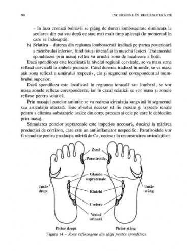 Incursiune în reflexoterapie