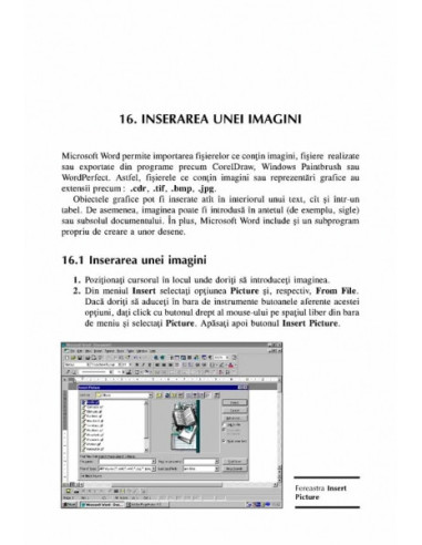 MS WORD - simplu și eficient