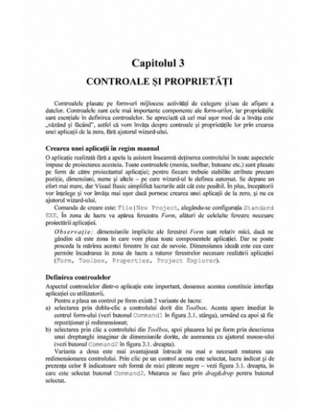 Visual Basic. Primii pași... și următorii