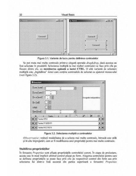 Visual Basic. Primii pași... și următorii
