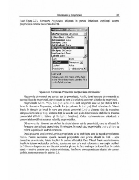 Visual Basic. Primii pași... și următorii