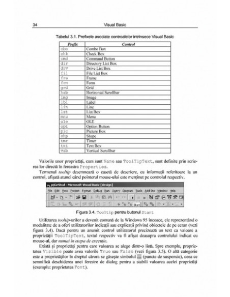 Visual Basic. Primii pași... și următorii