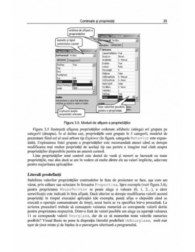 Visual Basic. Primii pași... și...