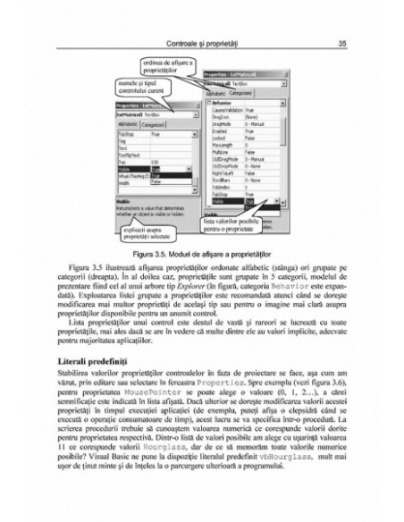 Visual Basic. Primii pași... și următorii