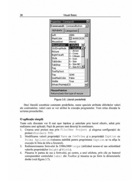 Visual Basic. Primii pași... și următorii