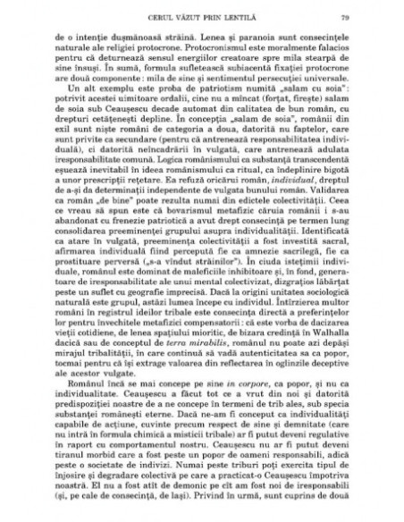 Cerul văzut prin lentilă