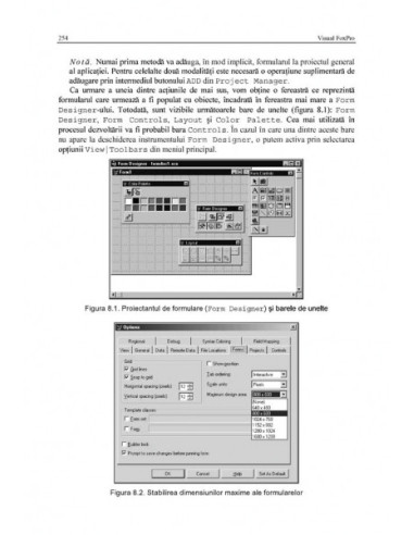 Visual FoxPro. Ghidul dezvoltării...