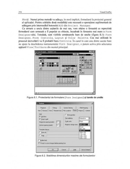 Visual FoxPro. Ghidul dezvoltării aplicațiilor profesionale