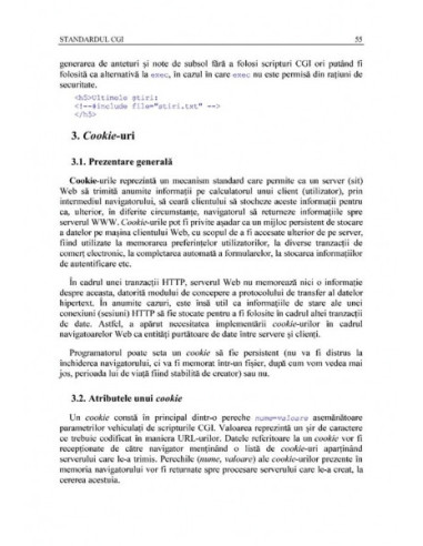 Programare Web în bash şi Perl Programare Web în bash şi Perl