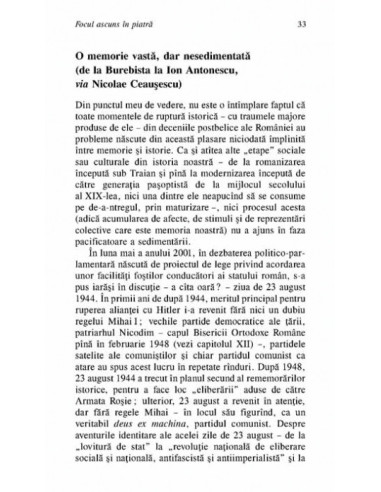 Focul ascuns în piatră. Despre...