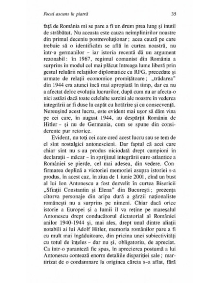 Focul ascuns în piatră. Despre istorie, memorie și alte vanități contemporane