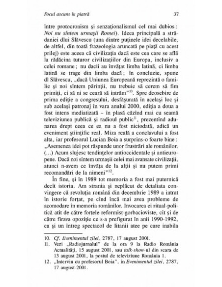 Focul ascuns în piatră. Despre istorie, memorie și alte vanități contemporane