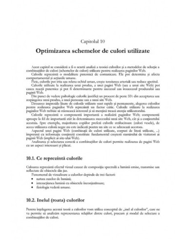 Optimizarea paginilor Web Optimizarea paginilor Web