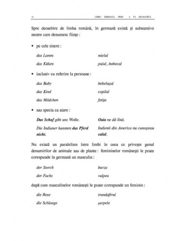 Limba germană. Prima ta gramatică