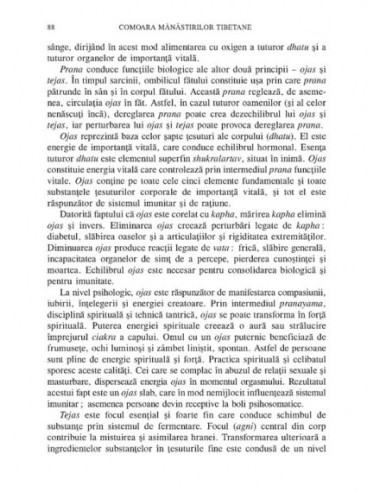 Comoara mănăstirilor tibetane