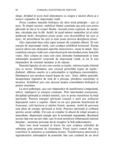 Comoara mănăstirilor tibetane