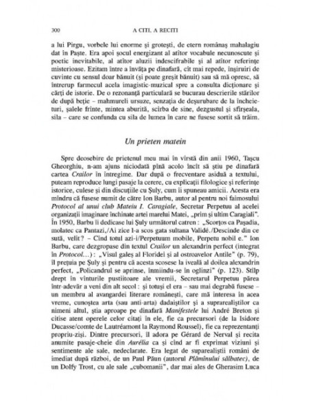 A citi, a reciti. Către o poetica a (re)lecturii