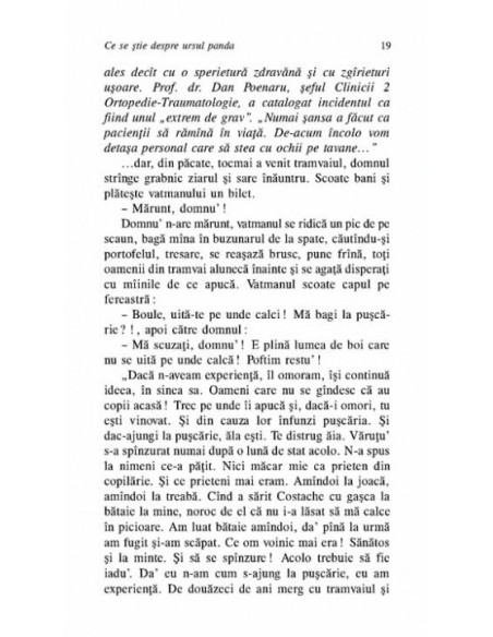 Ce se știe despre ursul panda