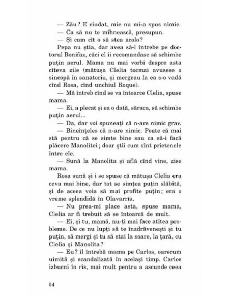 Toate focurile, focul