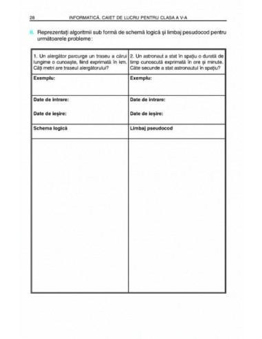 Informatică. Caiet de lucru pentru...