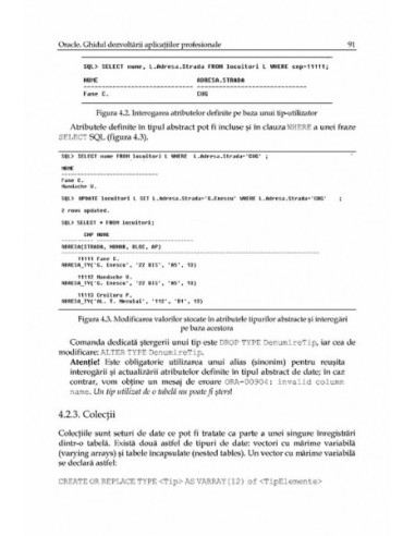 Oracle 9i2. Ghidul dezvoltării...