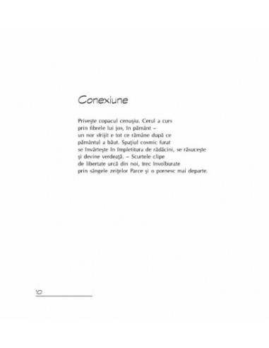 Pagini din cartea nopții