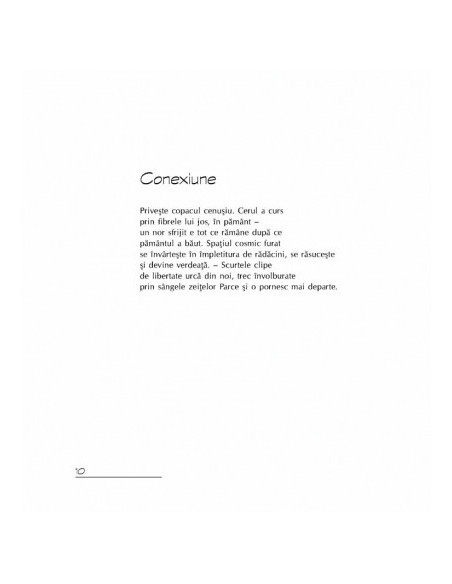 Pagini din cartea nopții