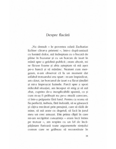 Viața și opiniile lui Zacharias Lichter Viața și opiniile lui Zacharias Lichter