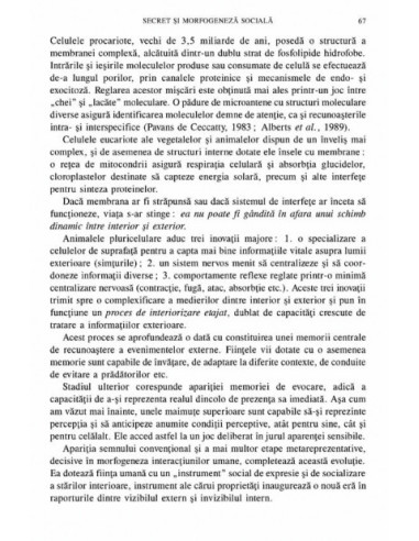 Secret și forme sociale