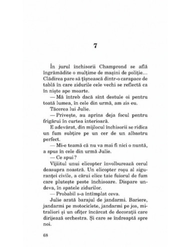 Micuța vînzătoare de proză