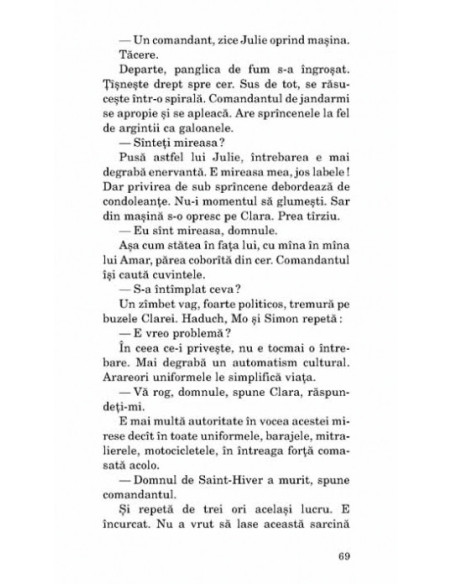 Micuța vînzătoare de proză