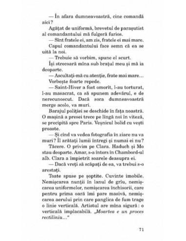 Micuța vînzătoare de proză