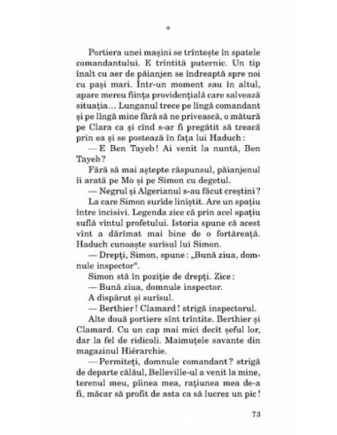 Micuța vînzătoare de proză