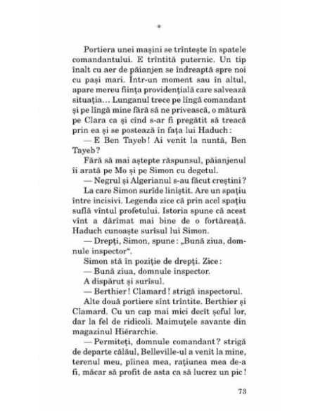 Micuța vînzătoare de proză