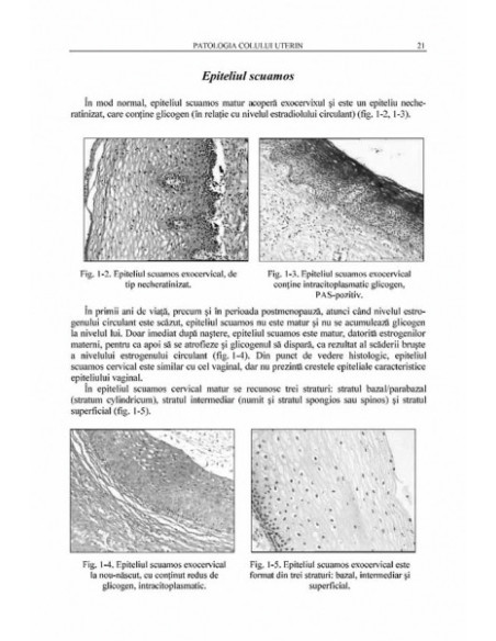 Patologia colului şi a corpului uterin