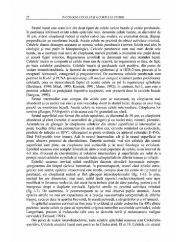 Patologia colului şi a corpului uterin