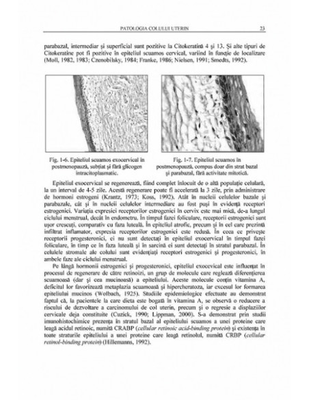 Patologia colului şi a corpului uterin
