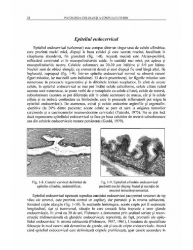 Patologia colului şi a corpului uterin