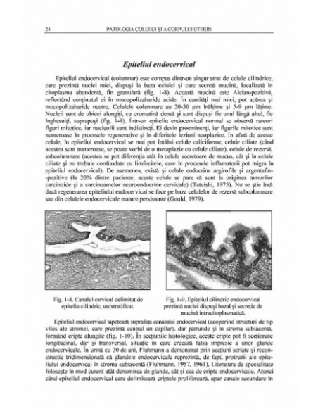 Patologia colului şi a corpului uterin
