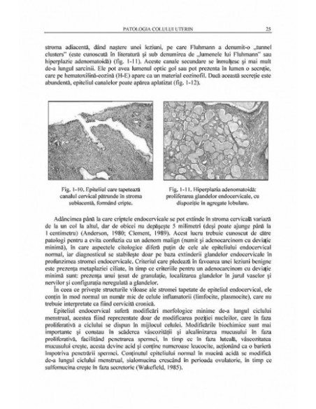 Patologia colului şi a corpului uterin