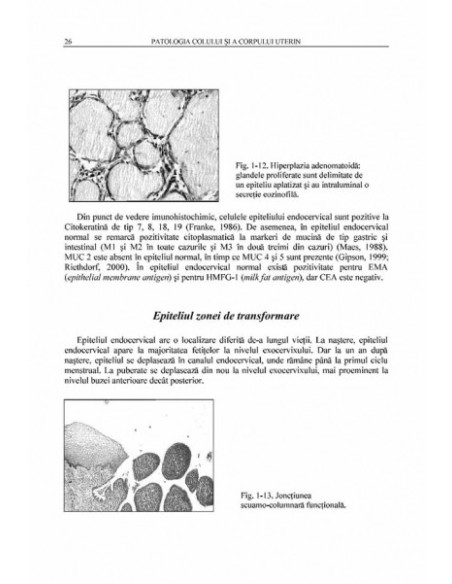 Patologia colului şi a corpului uterin