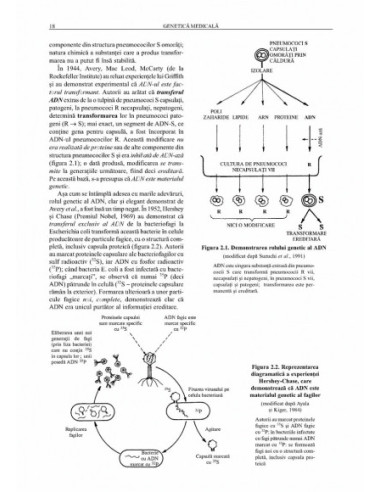 Genetică medicală Genetică medicală