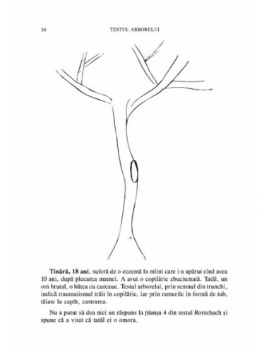 Testul arborelui Testul arborelui