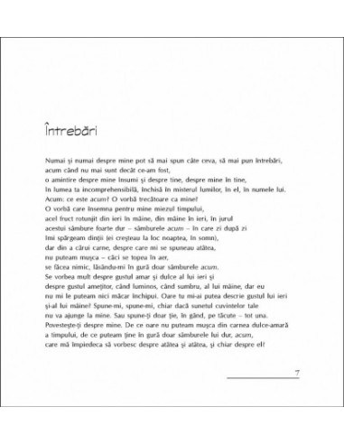 Tu: elegii şi invenţii