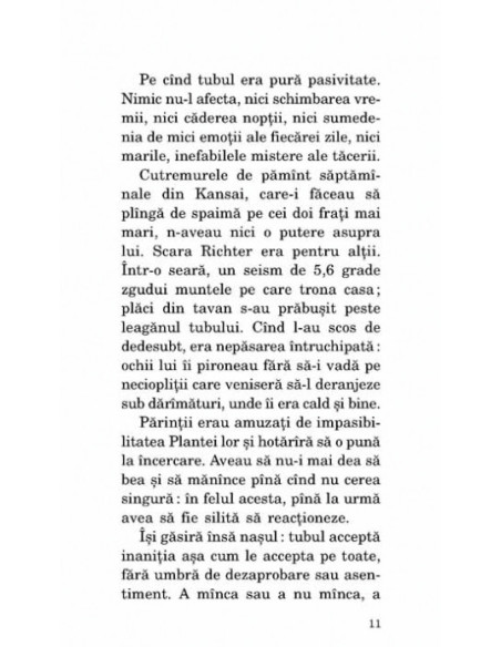 Metafizica tuburilor