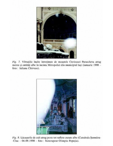 Karma şi taina reîncarnării