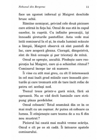 Nebunul din Bergerac